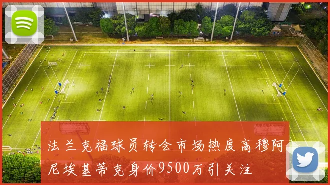 法兰克福球员转会市场热度高穆阿尼埃基蒂克身价9500万引关注