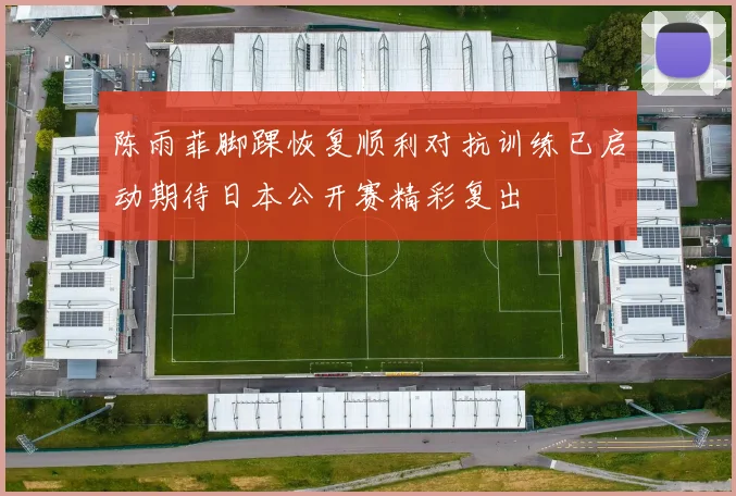 陈雨菲脚踝恢复顺利对抗训练已启动期待日本公开赛精彩复出